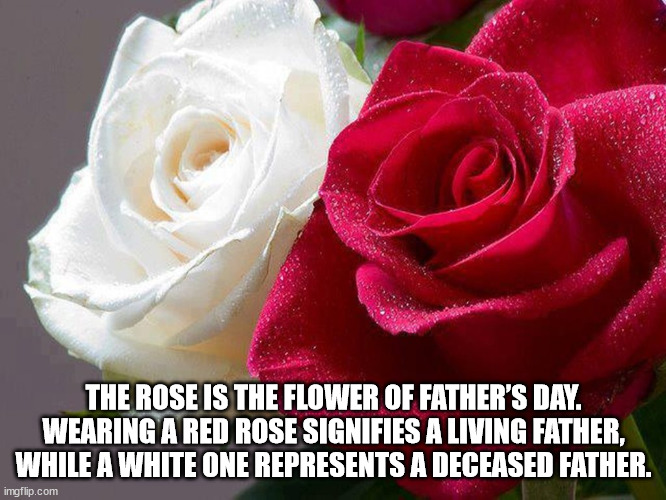 Father's Day Facts