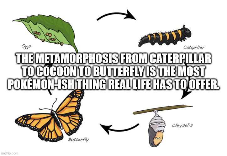 Shower Thoughts To Make You Say "Huh?"