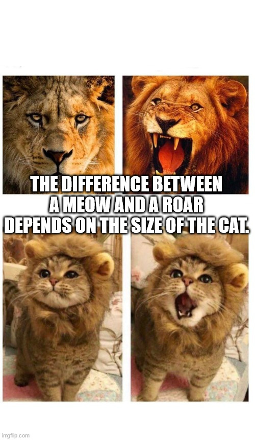 Shower Thoughts to Soak Your Head