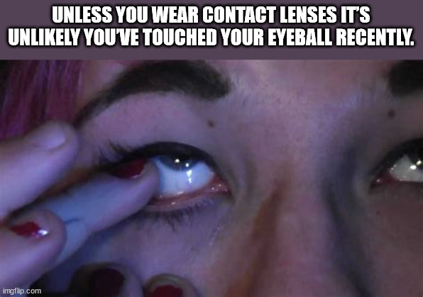 Shower Thoughts to Soak Your Head