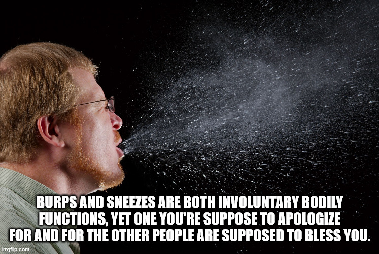 Shower Thoughts From The Wet Spot of the Net