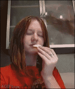 Moving Image Mayhem (Animal Edition)