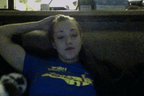 Moving Image Mayhem (Animal Edition)