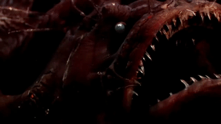 Moving Image Mayhem (Animal Edition)