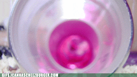 Moving Image Mayhem (Animal Edition)