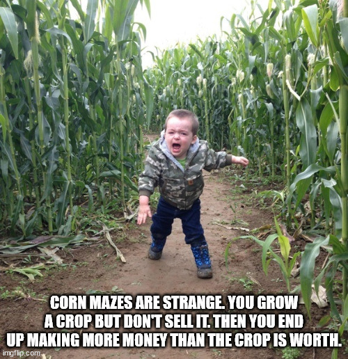 Shower Thoughts to Slake Your Thursday