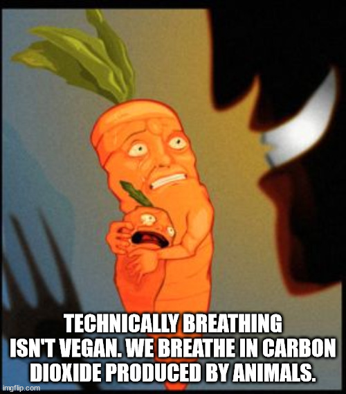 20 Shower Thoughts to Wash You Clean