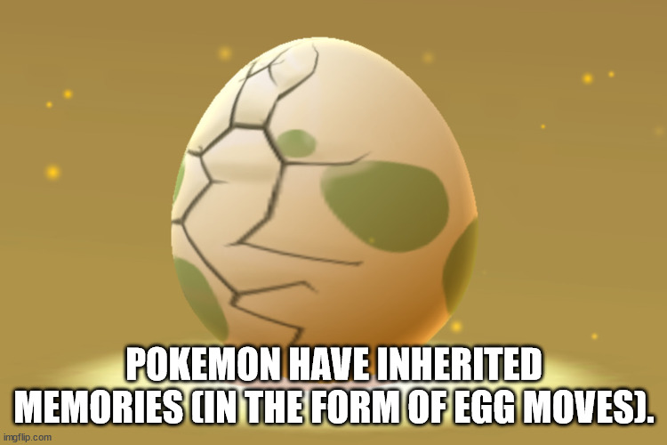 Shower Thoughts For You To Soak In