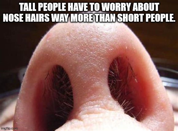 Shower Thoughts For You To Soak In