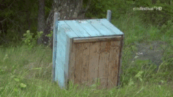 Moving Image Mayhem (Animal) Edition