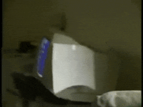 Moving Image Mayhem; Animal Edition