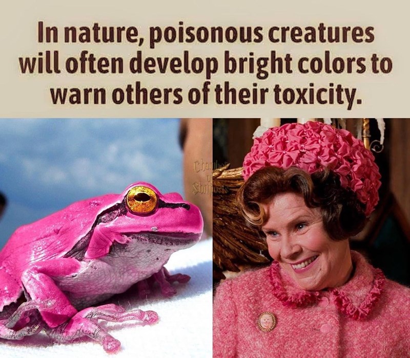 cool pics and memes - harry potter dolores umbridge meme - In nature, poisonous creatures will often develop bright colors to warn others of their toxicity.