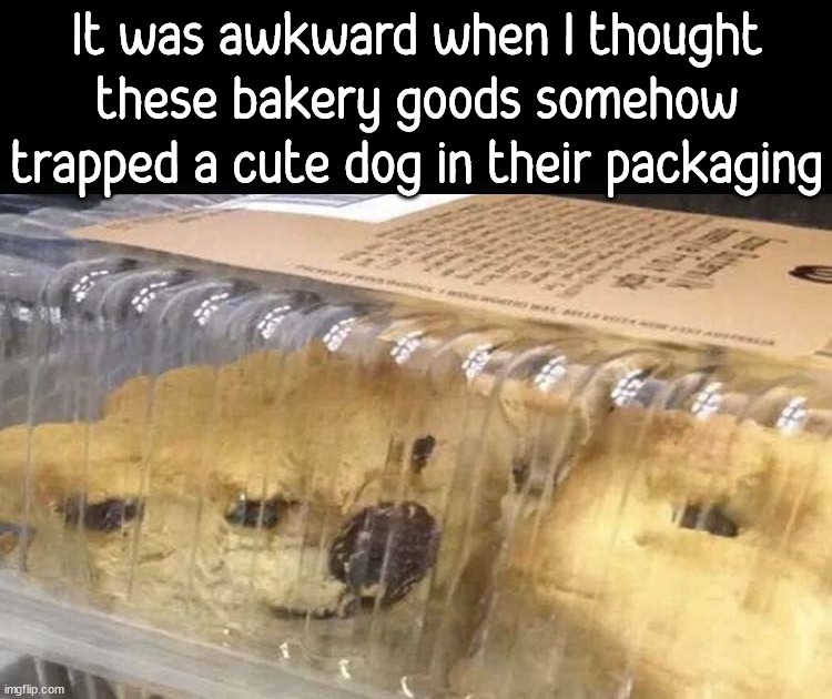 cool pics and memes - It was awkward when I thought these bakery goods somehow trapped a cute dog in their packaging imgflip.com 3000