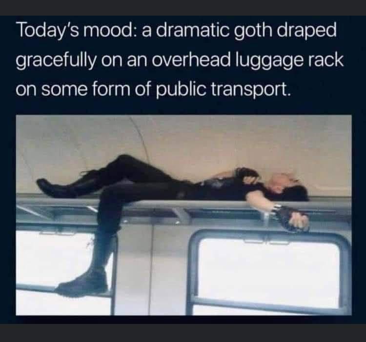 cool pics and memes - goth on luggage rack - Today's mood a dramatic goth draped gracefully on an overhead luggage rack on some form of public transport.