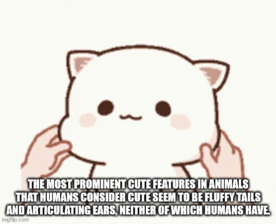 Shower Thoughts to Scrub Your Wrinkles