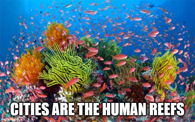 Shower Thoughts to Scrub Your Wrinkles