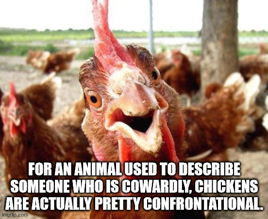 Shower Thoughts For Your Sunday