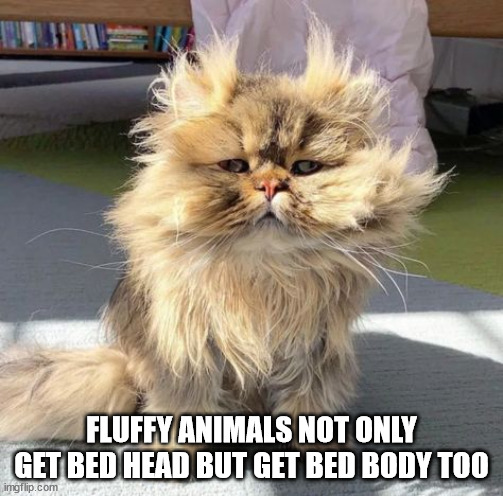 Shower Thoughts to Make It Moist