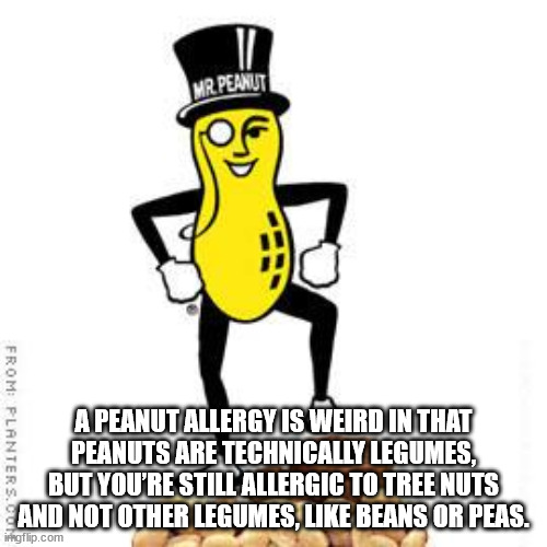 Shower Thoughts to Make It Moist