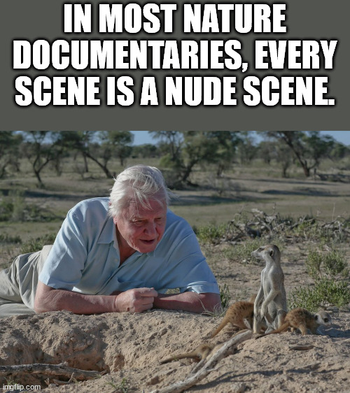 Shower Thoughts from the Wet Spot of the Net