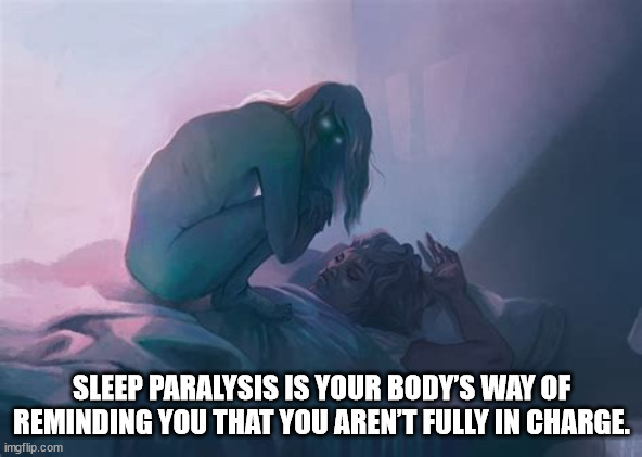 Shower Thoughts from the Wet Spot of the Net