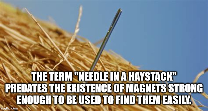 Shower Thoughts from the Wet Spot of the Net