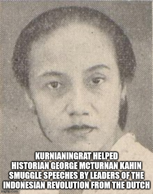 40 Fun Facts to Fold Into Your Brain Wrinkles