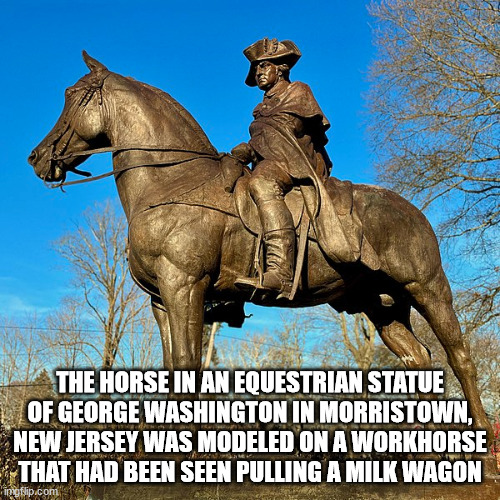 40 Fun Facts to Fold Into Your Brain Wrinkles