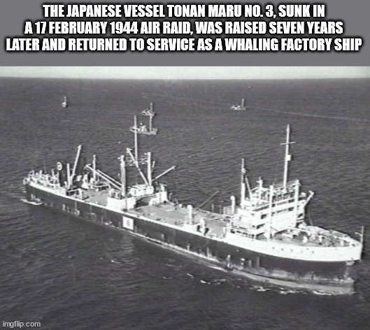 40 Fun Facts to Fold Into Your Brain Wrinkles