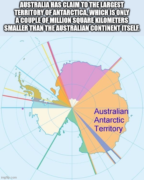 40 Fun Facts to Fold Into Your Brain Wrinkles