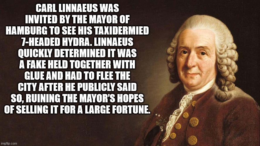 40 Fun Facts to Fold Into Your Brain Wrinkles