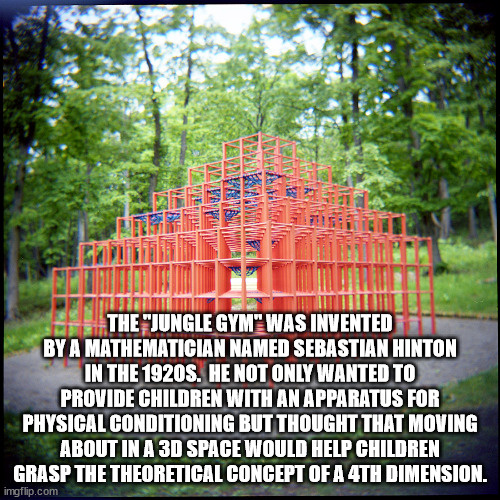 40 Fun Facts to Fold Into Your Brain Wrinkles