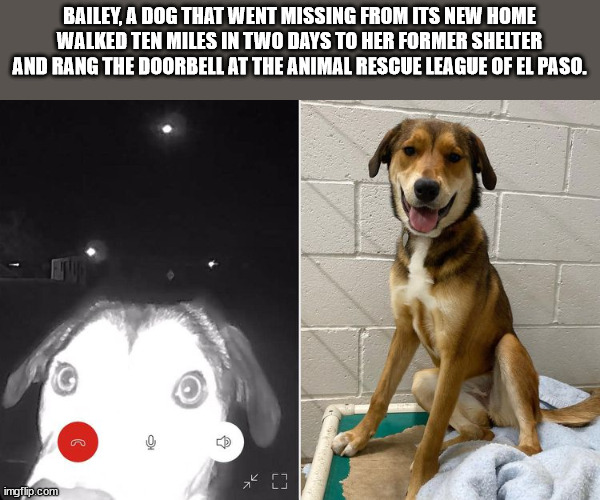 40 Fun Facts to Fold Into Your Brain Wrinkles