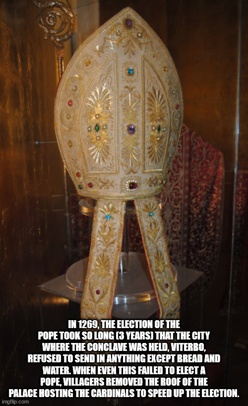 40 Fun Facts to Fold Into Your Brain Wrinkles