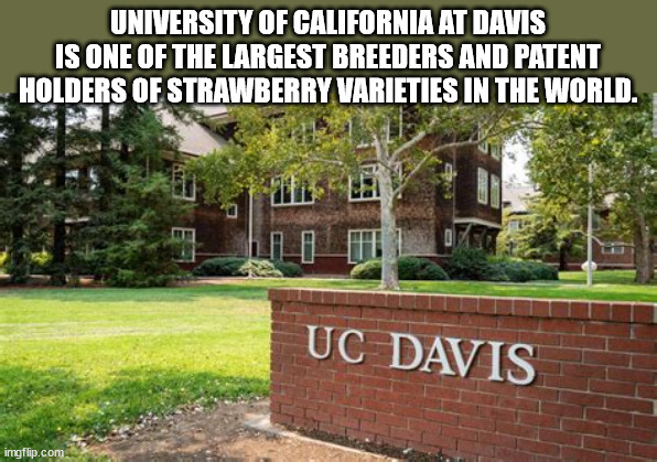 40 Fun Facts to Fold Into Your Brain Wrinkles