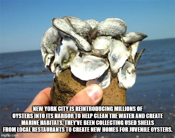 40 Fun Facts to Fold Into Your Brain Wrinkles