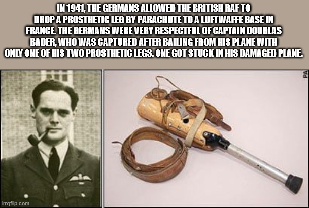 40 Fun Facts to Fold Into Your Brain Wrinkles