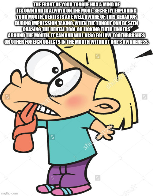 40 Fun Facts to Fold Into Your Brain Wrinkles