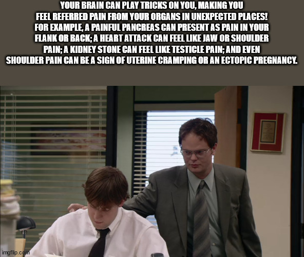 40 Fun Facts to Fold Into Your Brain Wrinkles