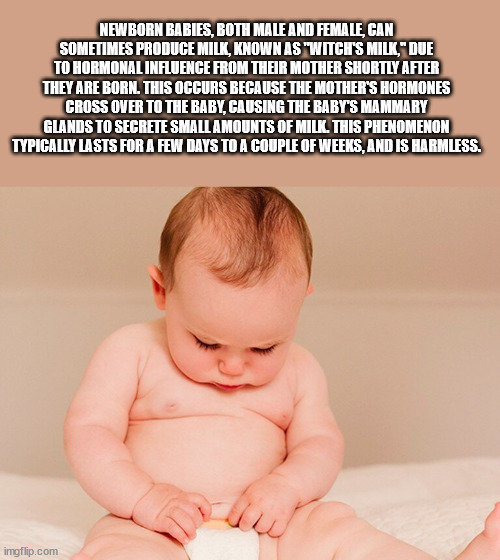 40 Fun Facts to Fold Into Your Brain Wrinkles