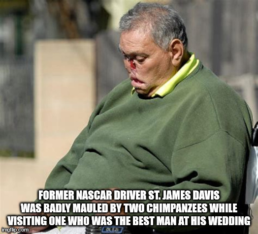 40 Fun Facts to Fold Into Your Brain Wrinkles