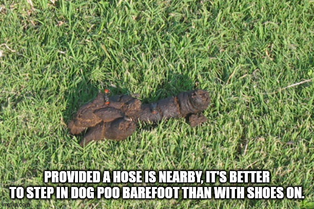 20 Shower Thoughts From The Moist Minds