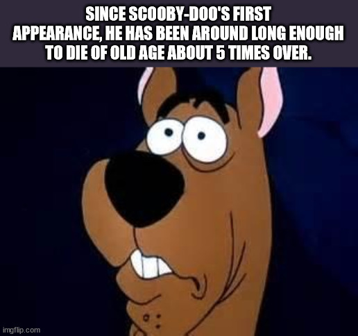 Shower Thoughts to Ponder Naked