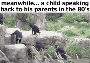 Moving Image Mayhem; Animal Edition