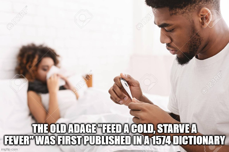 Fun Facts to Feed Your Need