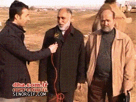 Moving Image Mayhem (Animal Edition)