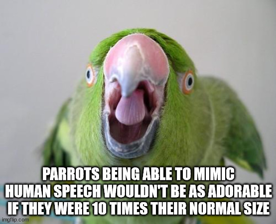 Shower Thoughts With Which to Denormalize