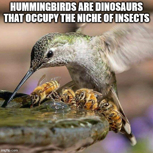 Shower Thoughts With Which to Denormalize