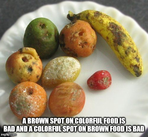 Shower Thoughts to Wash You Clean