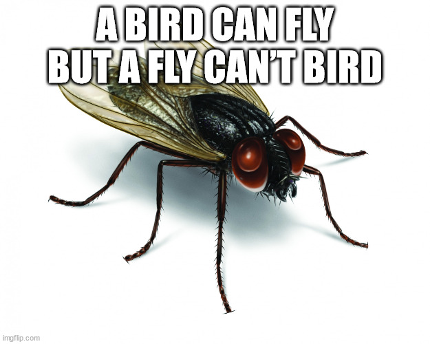 Shower Thoughts to Wash You Clean